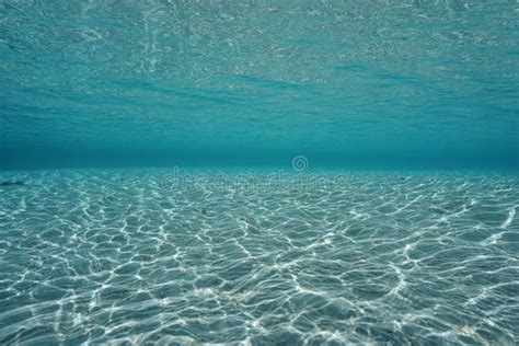 Underwater Sandy Ocean Floor With Water Surface Stock Image Image Of