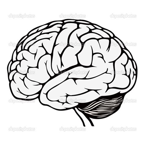 Maybe you would like to learn more about one of these? Human Brain Coloring Page at GetColorings.com | Free ...