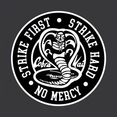 Strike Hard Kai Cobra Karate Dojo Mercy