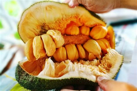 What Is Jackfruit And How Do I Use It Us News