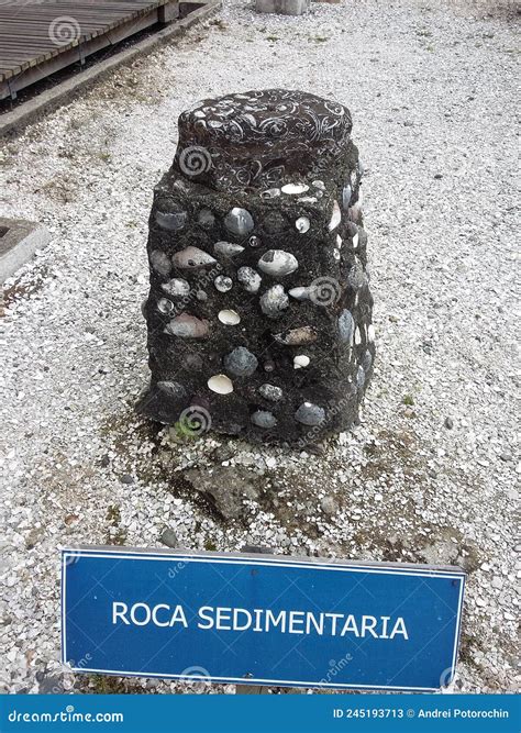 Sample Sedimentary Rock Roca Sedimentaria In The Open Air Museum