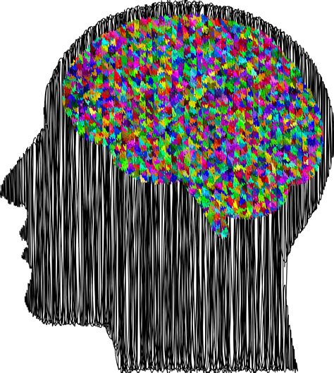 The Enigma Of Kip Kinkel's Brain