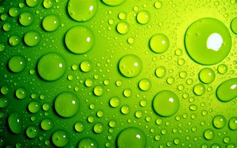 Green Bubbles Wallpapers | HD Wallpapers | ID #9562