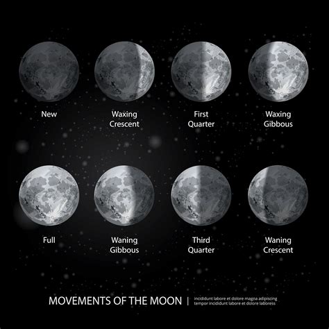 Fases Da Luna