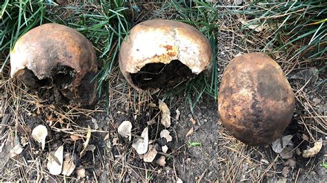 3975 arkwright rd, ste 2 (976.95 mi) macon, ga, ga 31220. Human skull found in flower bed at Texas home | 13wmaz.com