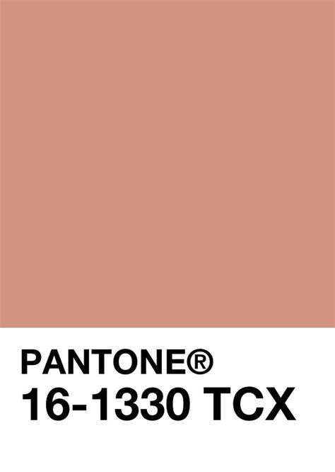 Pantone Muted Clay Pantone Palette Pantone Swatches Pantone Colour