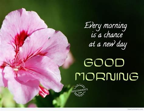 Every Morning Is A Chance At A New Day Good Morning