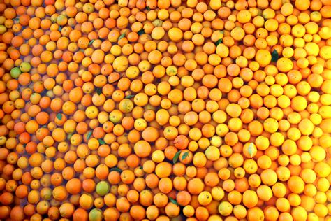 Free Images Nature Fruit Sweet Ripe Orange Pollen Produce Crop