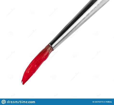 Paintbrush Tip Stock Photo Image Of Paintbrush Tuft 242753772