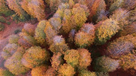Autumn Colors Take Over Turkey Capture Visitors Hearts Daily Sabah