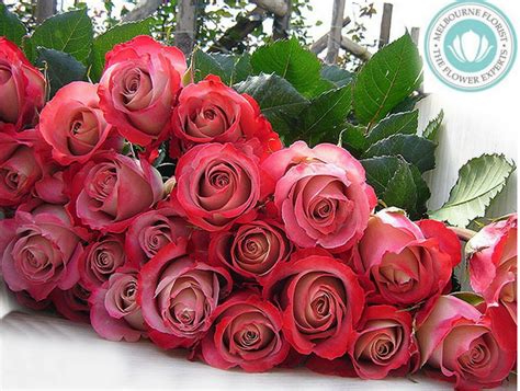 Featuring over 400 beautiful bouquets and floral arrangements starting at just $24.95. Get Same Day #Flower Delivery In #Melbourne By # ...