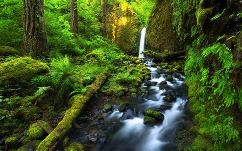 Waterfal Into The Forest Hoodoo Wallpaper