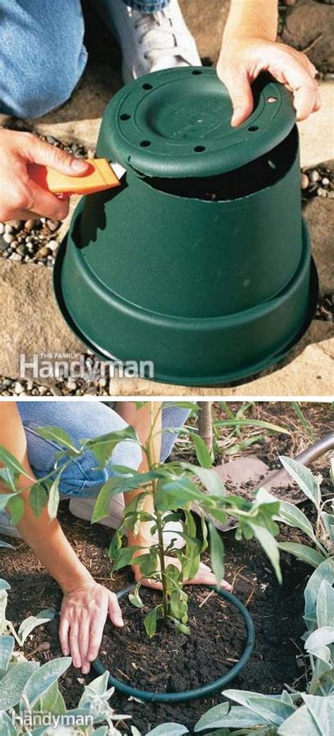 35 creative garden hacks and tips that every gardener should know hative
