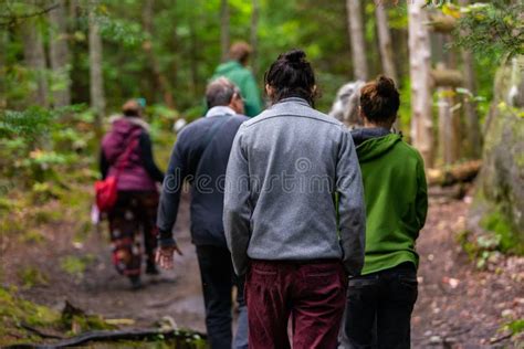 Hikers Hiking Trail In Rainforest Editorial Stock Image Image Of Hike