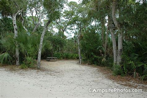 Tomoka State Park Campsite Photos Campground Info Availability