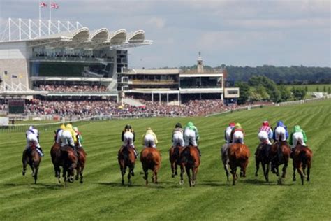 Newmarket Betting Odds Horse Racing Tips