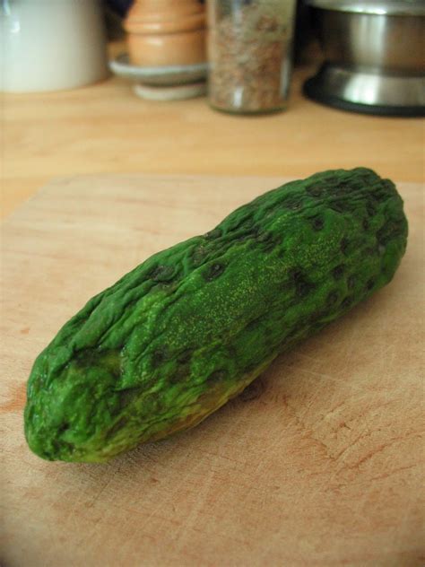 Then you should be able to keep in the fridge for quite some time and enjoy them. Prairie Lemon: Quick Refrigerator Dills