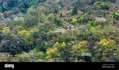 House In The Mountain Forest Lachung Sikkim India Stock Photo Alamy