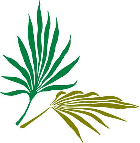 Download Palm Leaves Tropical · Free vector graphic on Pixabay