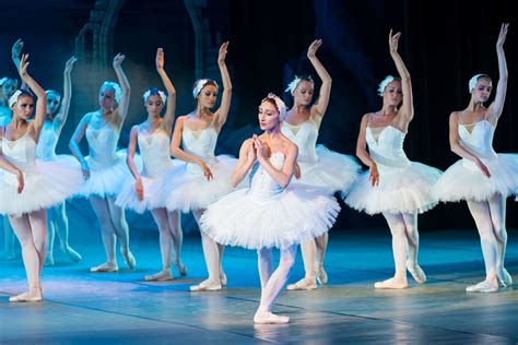 Active Adult Artist Ballerina Ballet Ballet Dancer Classic Costume Dance Dancers