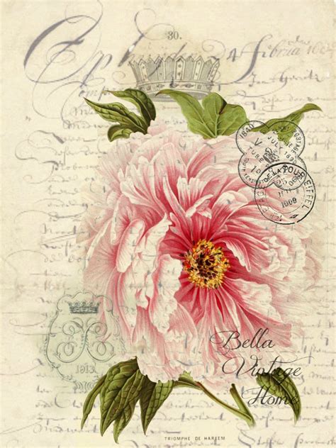 Botanical Rose Print Pillow Note Cards Tea Towel Digital Download