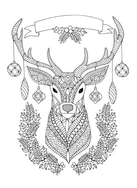 Christmas colouring picture of a reindeer. Christmas Reindeer Adult Coloring Pages - Jesyscioblin