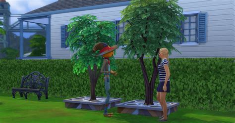 Quill Fruit Sims 4 Grafting Opmmono