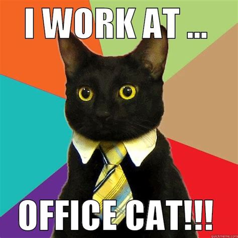 I Work At Office Cat Quickmeme