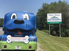 Tails That Wag Purrs That Heal Discover Free Pets Seeking A Loving Home In New Hampshire