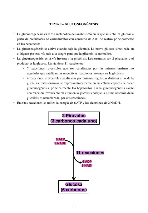 Gluconeog Nesis Apuntes Tema Gluconeog Nesis La