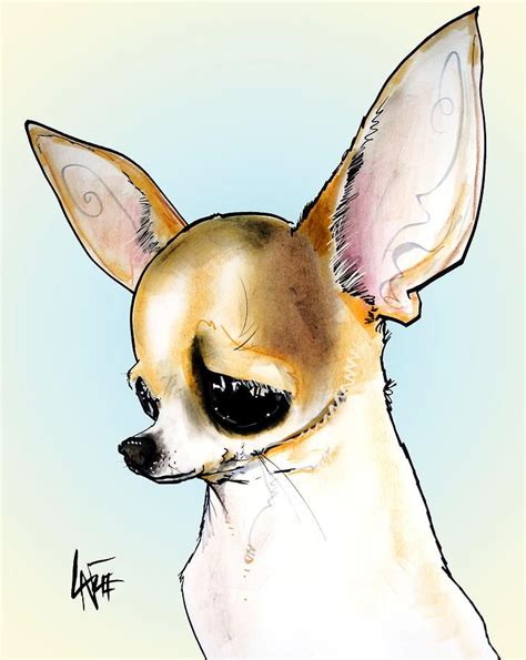 Chihuahua 8 Drawing Chihuahua 8 Fine Art Print Chihuahua Art Dog