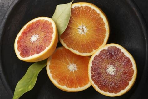 Tarocco Blood Orange The Sweetest Citrus Fruit