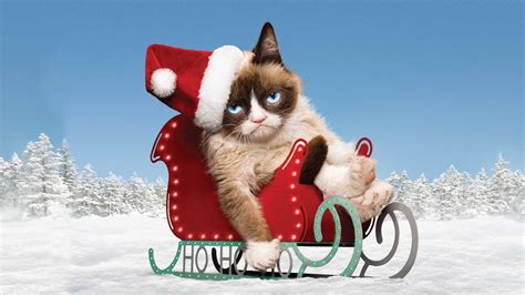 Watch Grumpy Cats Worst Christmas Ever Lifetime