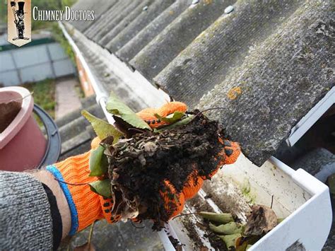 Maybe you would like to learn more about one of these? Gutter Cleaning Mistakes We Avoid Doing