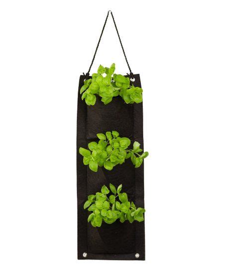 Touch Of Eco Basil Organic Hanging Bag Herb Growing Kit Herb Growing