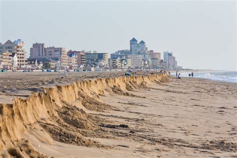 Are Dogs Allowed On The Beach In Ocean City Md