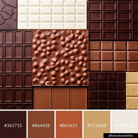 Chocolate Browns Warm Fall Colors Color Palette