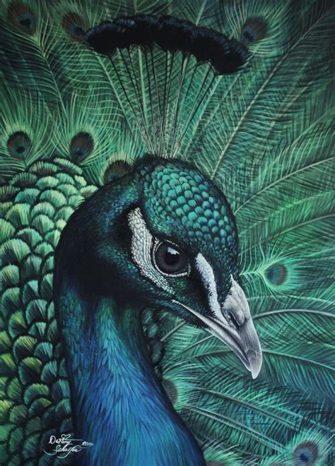 Peacock Painting By Straewefin On Deviantart Peacock Painting