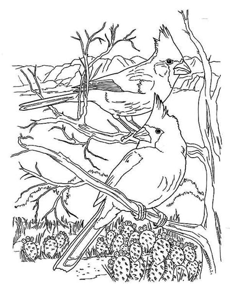 Some of the coloring page names are louisville cardinals logo coloring louisville, louisville cardinals logo coloring louisville, louisville cardinals logo black and white louisville, louisville cardinals coloring at, louisville cardinals logo black and white png, filelouisville cardinals text wikipedia, ul university of louisville cardinals super size logo, medium size of louisville cardinal coloring st st, arizona cardinals. Awesome Animal Cardinal Bird Coloring Page : Coloring Sun ...