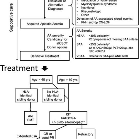 Approach To Diagnosis And Treatment Of Acquired Aplastic Anemia