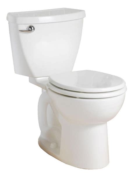 Traditional Looking Toilet With A Visible Trapway