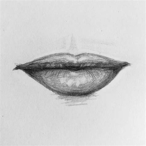 How To Draw Thin Lips Animalrepair25
