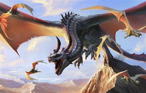 Wyvern Wallpapers Top Free Wyvern Backgrounds Wallpaperaccess