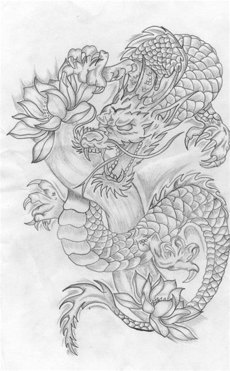 Top 30 Stunning And Realistic Dragon Drawings Elegir El Diseño Delaware