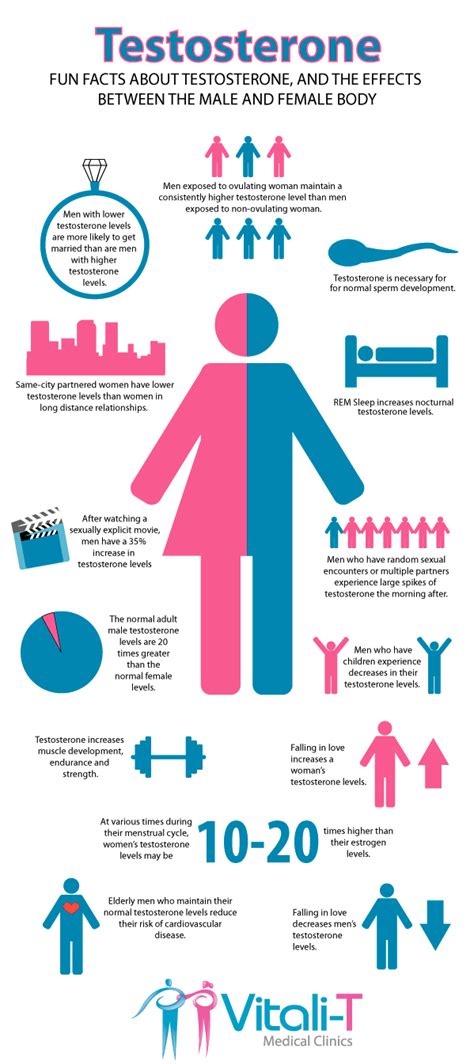 What Causes Low Testosterone Dr Sam Robbins