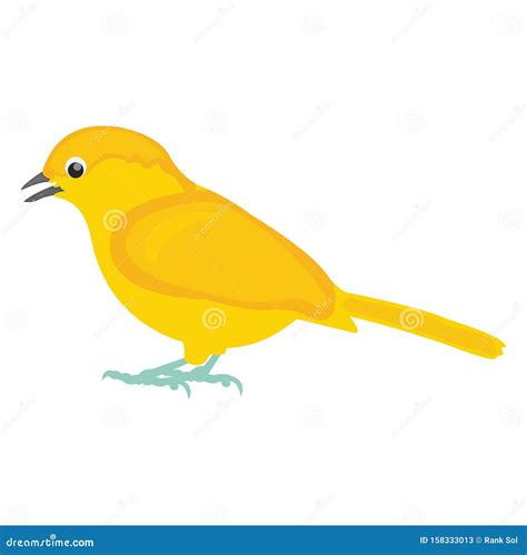 Canary Vector Monochrome Freehand Ink Drawn Sketch Style Illustration