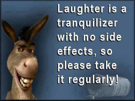 00:26:38 you know what else everybody likes? Donkey From Shrek Quotes Inspirational. QuotesGram