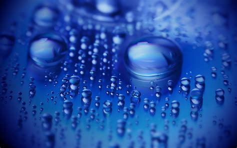 Shallow Focus Photography Of Water Droplets Hd Wallpaper Wallpaper Flare