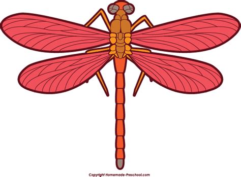 Dragonfly Clip Art Stock Images Free Clipart Images Clipartcow 4 2