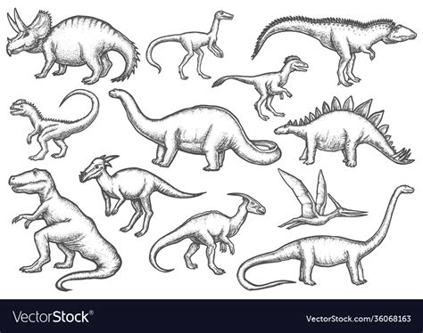 Set Isolated Dinosaur Sketches Dino Sketching Vector Image